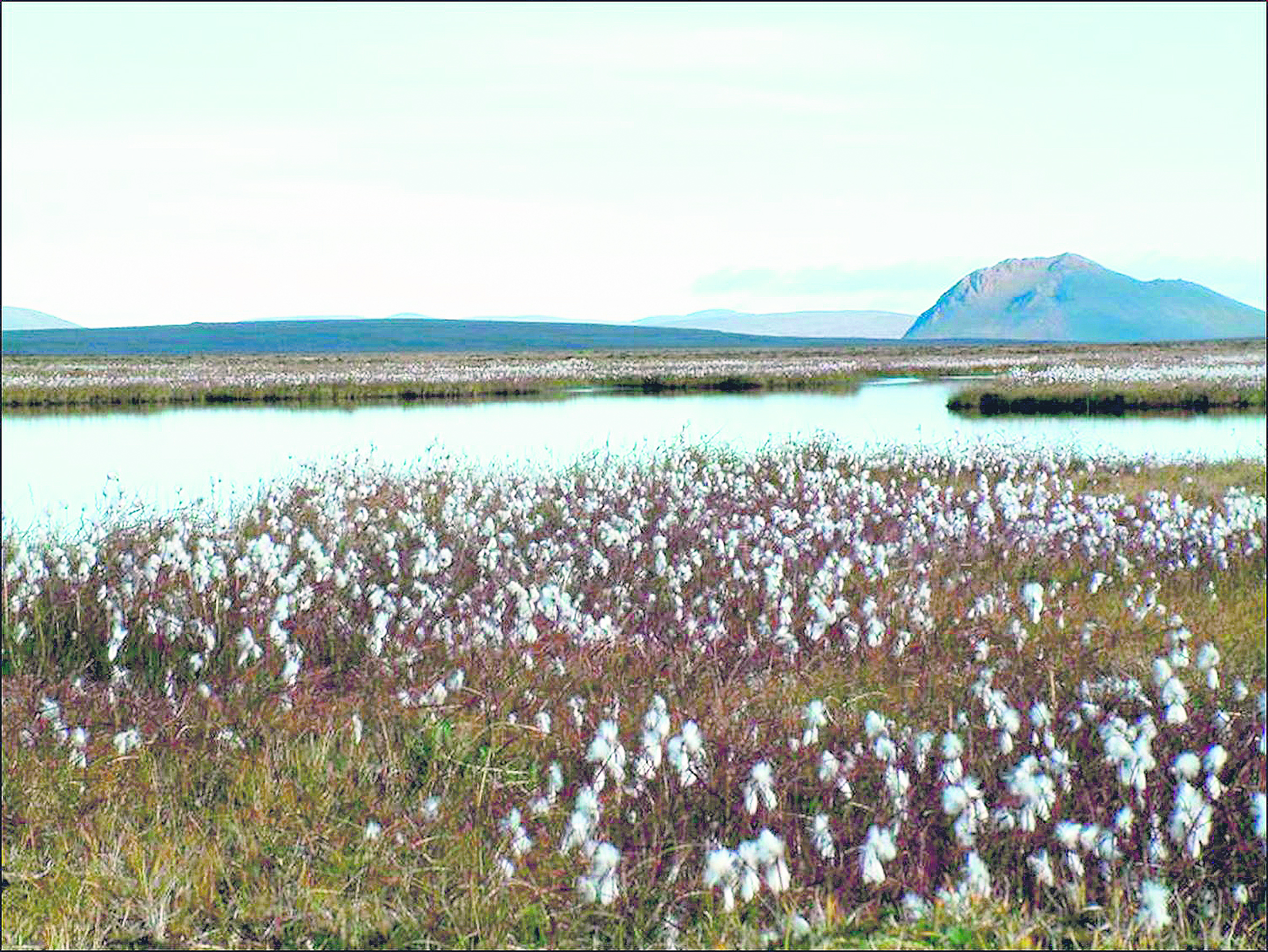 Af tilefni umræðu um endurheimt votlendis