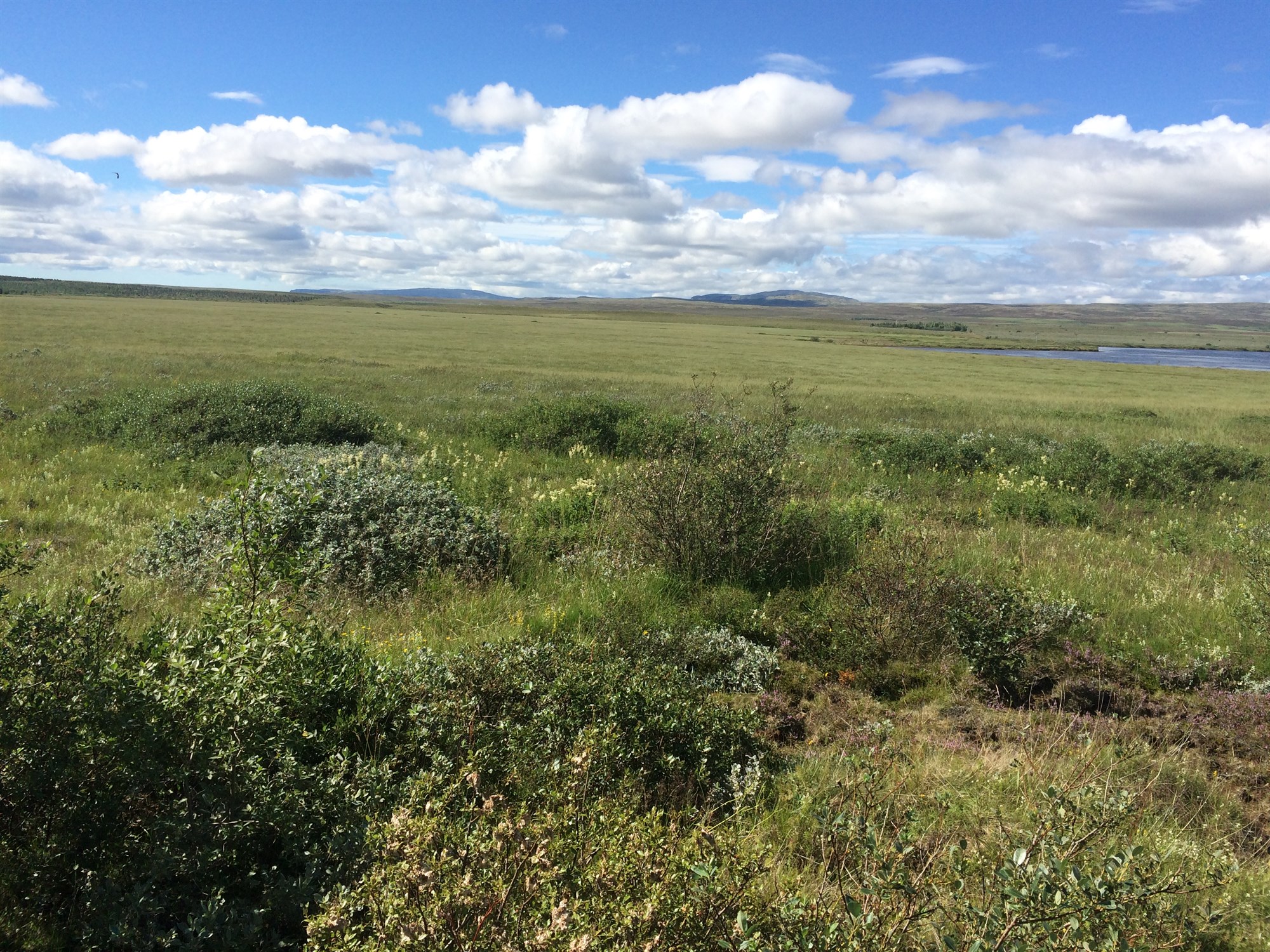 Aðgerðir í landnotkun reynast ábatasamar