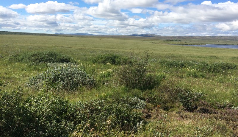 Aðgerðir í landnotkun reynast ábatasamar