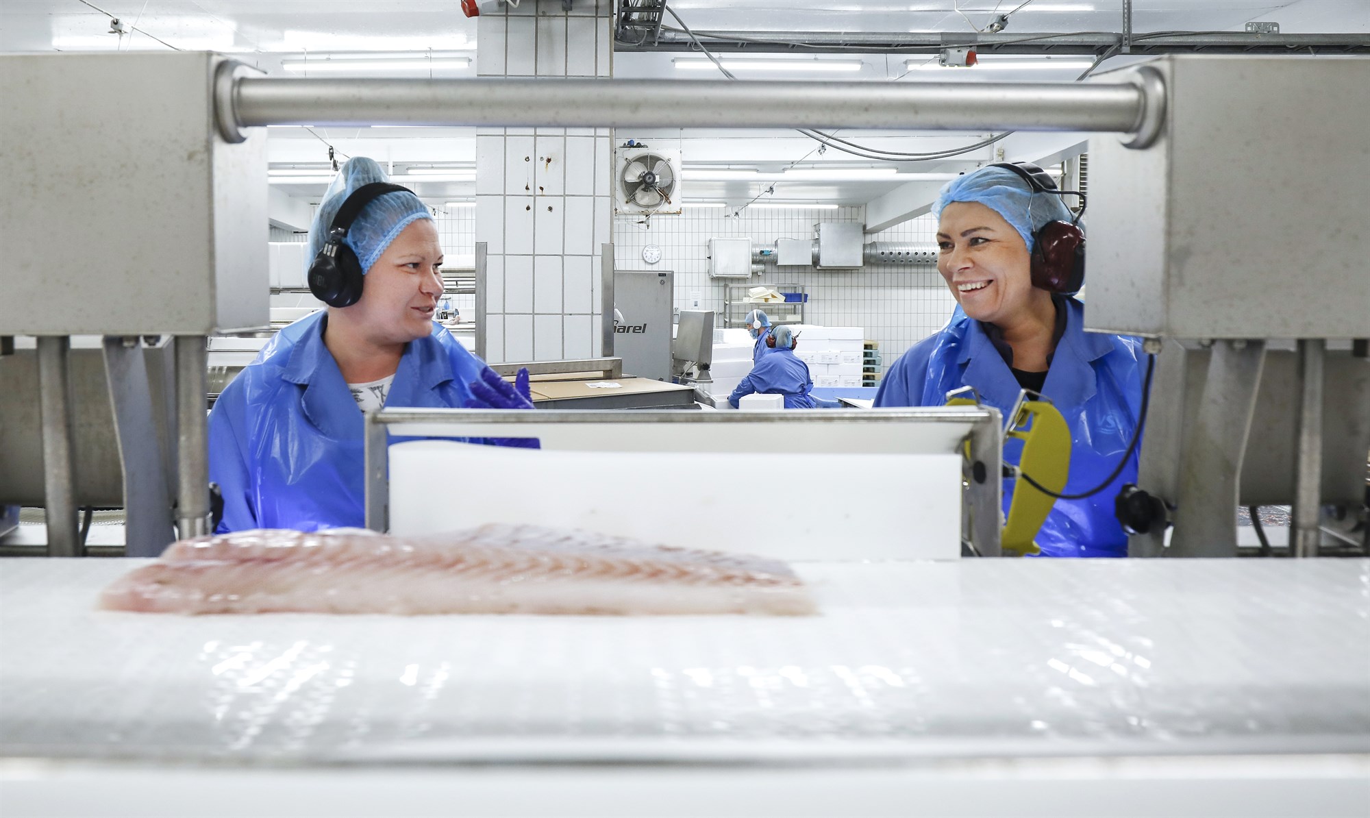 Hráefnis- eða fullvinnsluland?