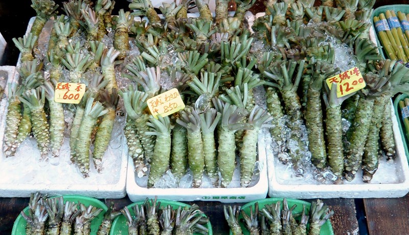 Wasabi-ræktun í gróðurhúsum Barra