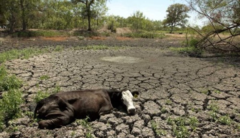 Heimsbyggðin gæti horft fram á hrikalega vatnskreppu
