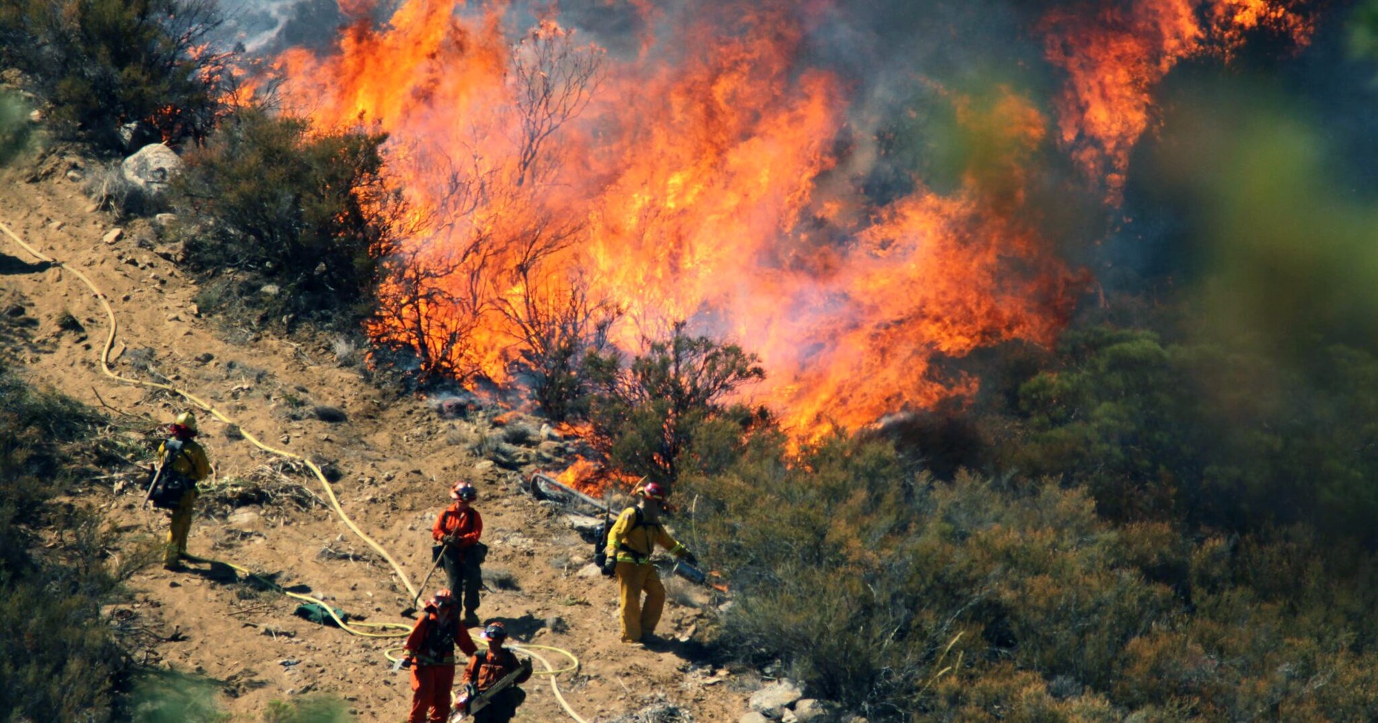 Loftmengun sk&#243;garelda hefur &#225;hrif &#225; Covid-19