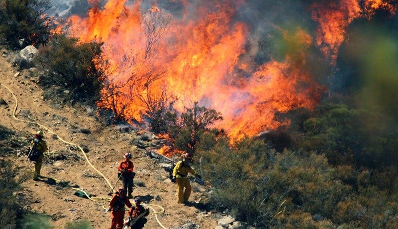 Loftmengun skógarelda hefur áhrif á Covid-19