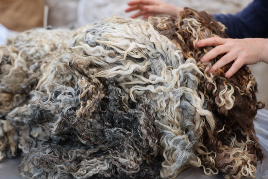 Um 2.400 tonnum af ull fargað