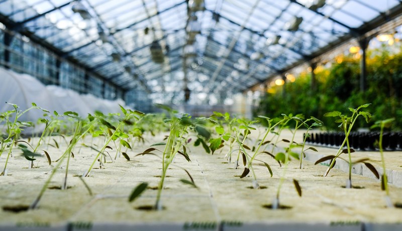 Aukafjárveiting í styrki til orkusparandi aðgerða